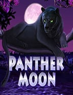 slot ได้เงินจริงไหม? มารู้จักสูตรเด็ดกันเถอะ